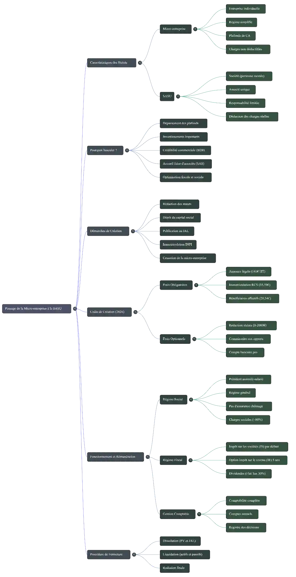 Infographie : Mind map du passage de micro-entreprise à SASU